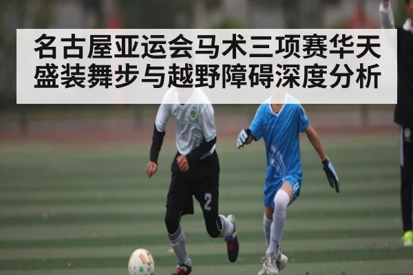 名古屋亚运会马术三项赛华天盛装舞步与越野障碍深度分析